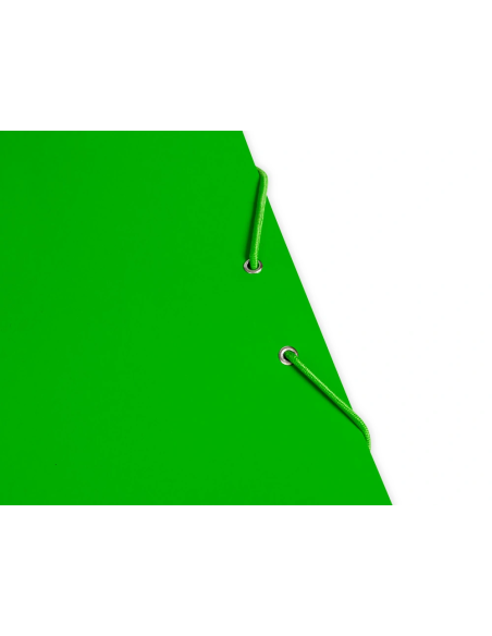 CI | Carpeta liderpapel gomas folio 3 solapas carton plastificado color verde