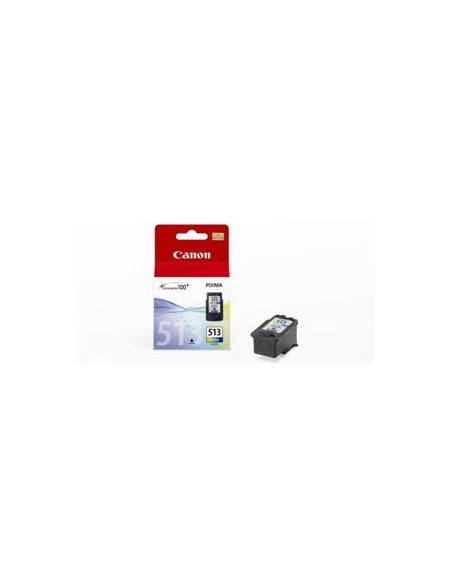 Cartucho de tinta ORIGINAL CL513 - 2971B001
