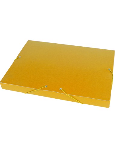CI | Carpeta proyectos liderpapel folio lomo 30mm carton gofrado amarilla