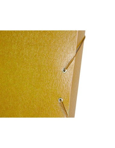 CI | Carpeta proyectos liderpapel folio lomo 30mm carton gofrado amarilla