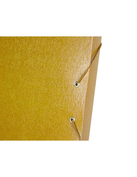 CI | Carpeta proyectos liderpapel folio lomo 30mm carton gofrado amarilla