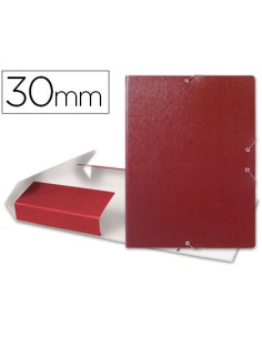 CI | Carpeta proyectos liderpapel folio lomo 30mm carton...