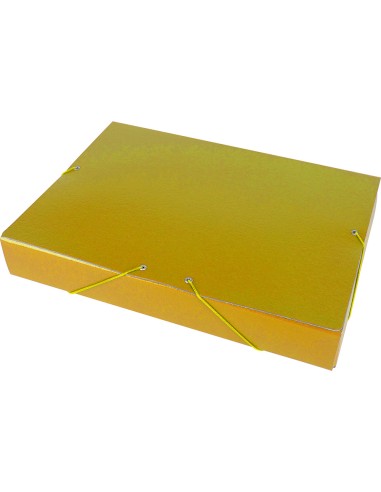 CI | Carpeta proyectos liderpapel folio lomo 50mm carton gofrado amarilla