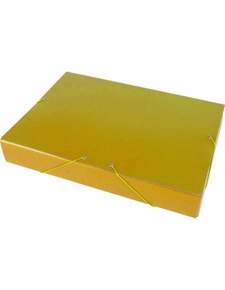 CI | Carpeta proyectos liderpapel folio lomo 50mm carton gofrado amarilla