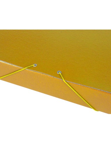 CI | Carpeta proyectos liderpapel folio lomo 50mm carton gofrado amarilla