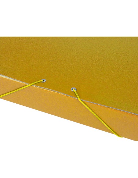CI | Carpeta proyectos liderpapel folio lomo 50mm carton gofrado amarilla