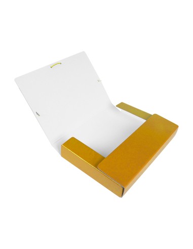 CI | Carpeta proyectos liderpapel folio lomo 50mm carton gofrado amarilla