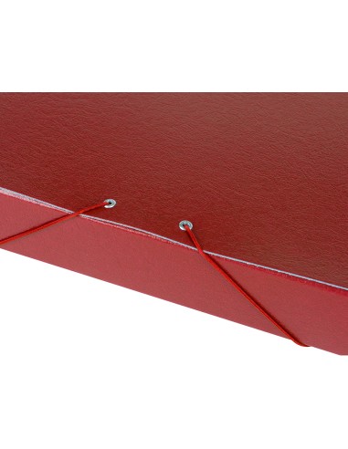 CI | Carpeta proyectos liderpapel folio lomo 50mm carton gofrado roja
