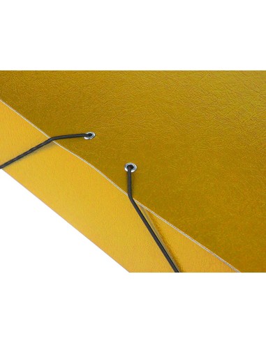 CI | Carpeta proyectos liderpapel folio lomo 70mm carton gofrado amarilla